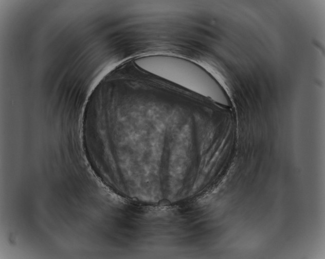 X0000091710949200709210939