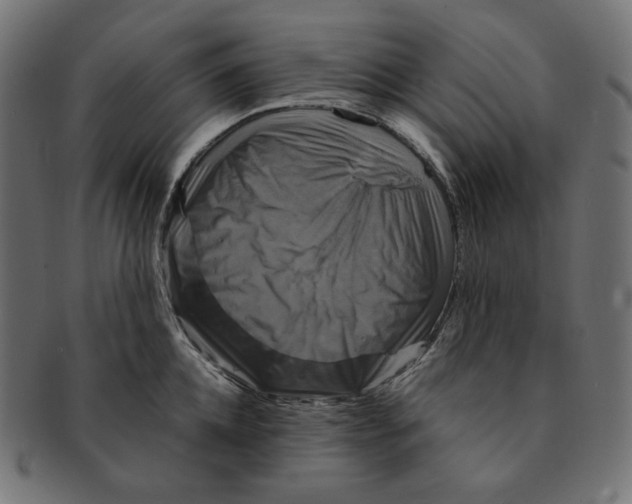 X0000091710952200709210939