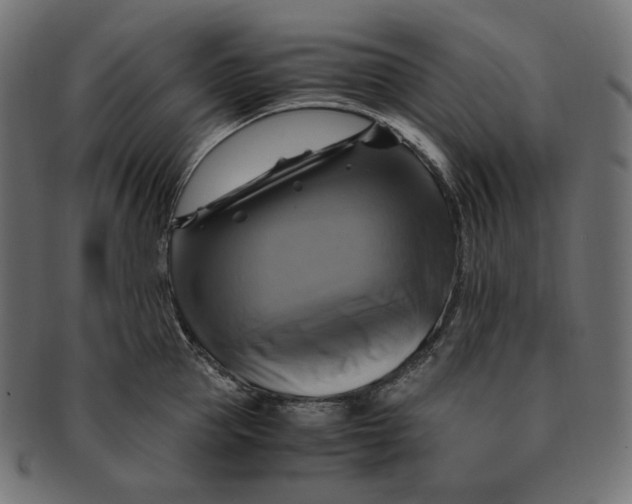 X0000091710953200709210939