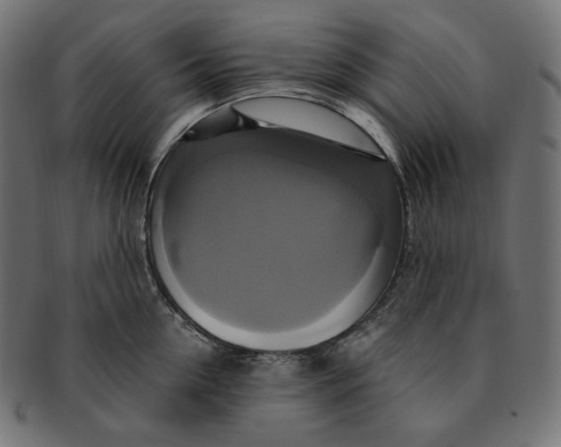 X0000091710954200709210939