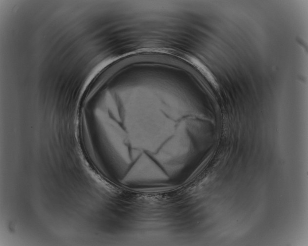 X0000091710955200709210939