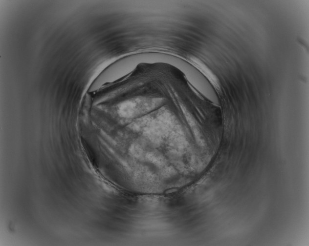 X0000091710956200709210939