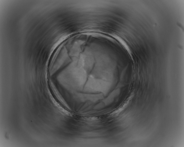 X0000091710957200709210939