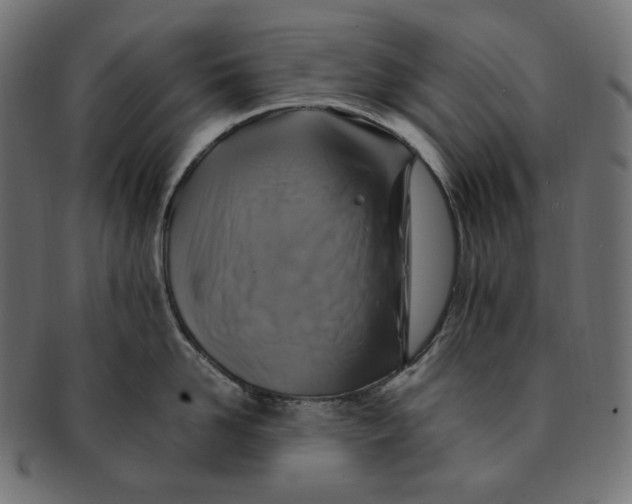 X0000091710958200709210939