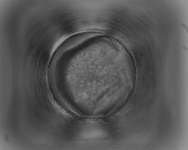 X0000091710960200709210939