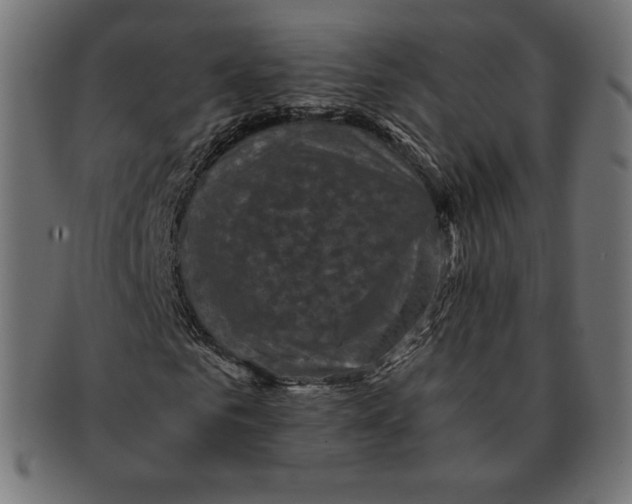 X0000091710961200709210938