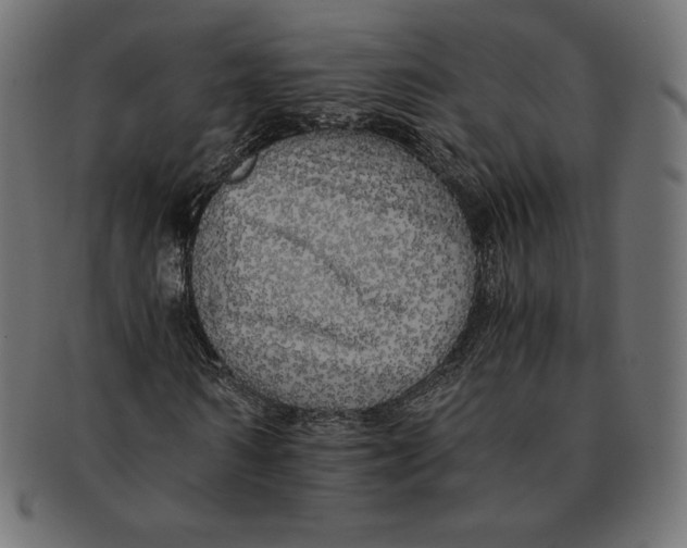 X0000091710962200709210938