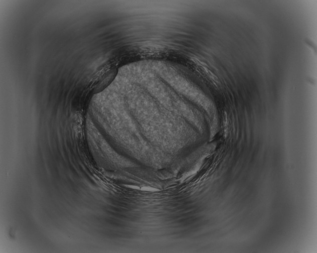 X0000091710964200709210938