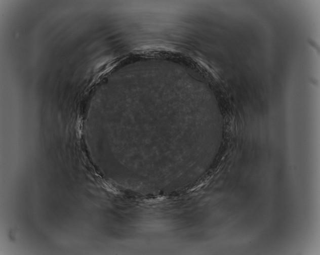 X0000091710965200709210938