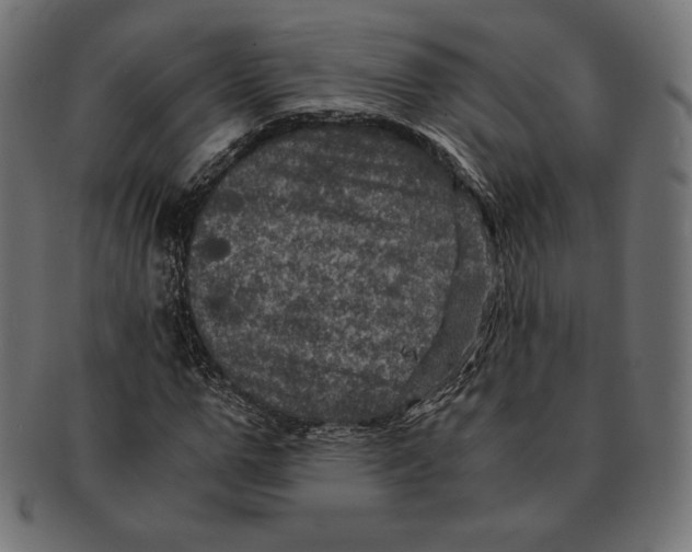 X0000091710967200709210938