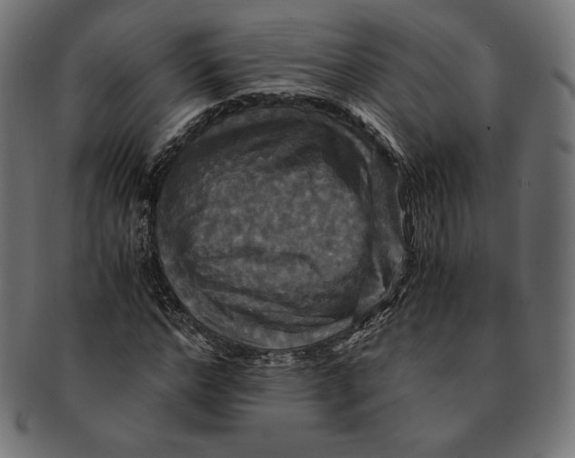 X0000091710968200709210938