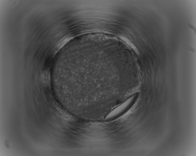 X0000091710969200709210938