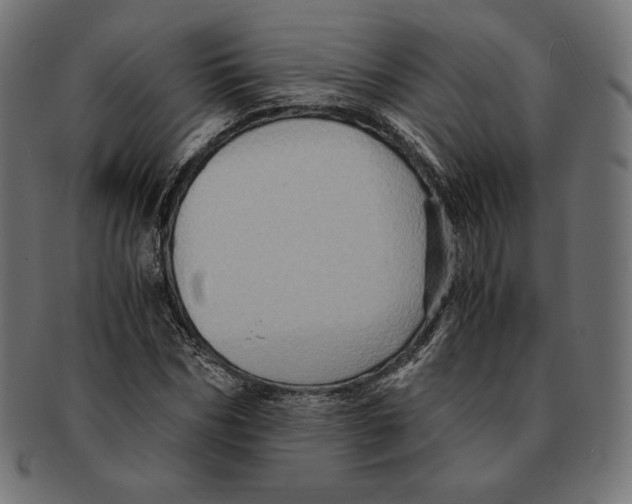 X0000091710970200709210938