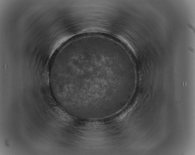 X0000091710973200709210938