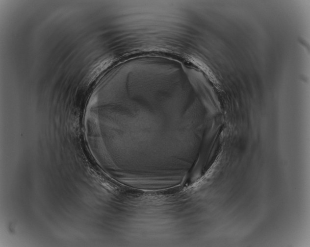 X0000091710977200709210938