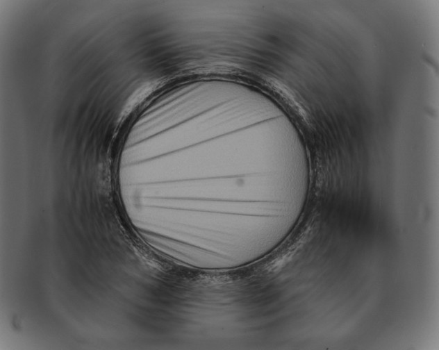 X0000091710978200709210938