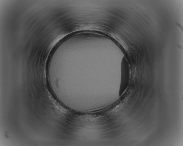 X0000091710980200709210938