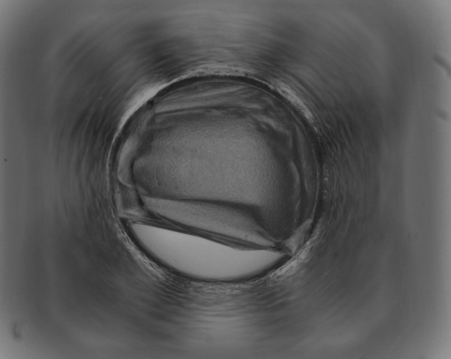 X0000091710981200709210938