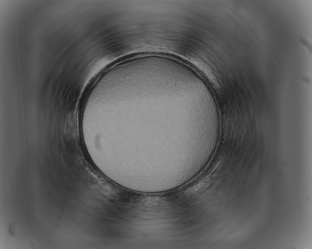 X0000091710982200709210938