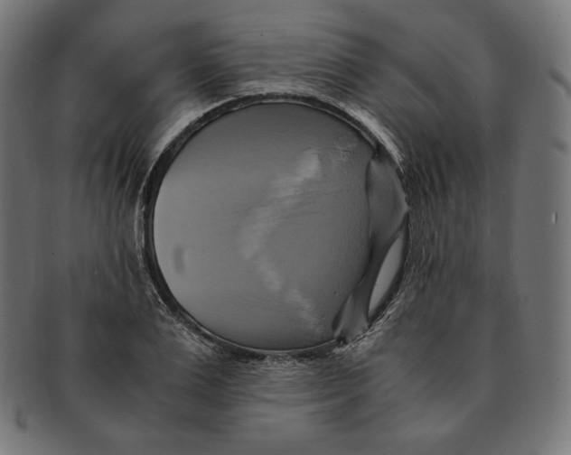 X0000091710983200709210938