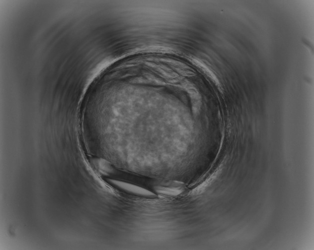 X0000091710989200709210938