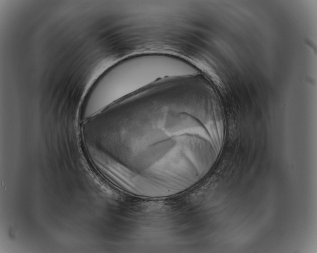 X0000091710990200709210938