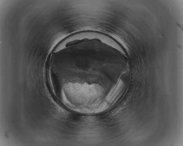 X0000091710991200709210938