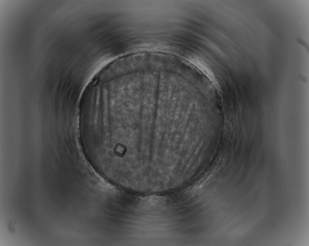 X0000091710992200709210938