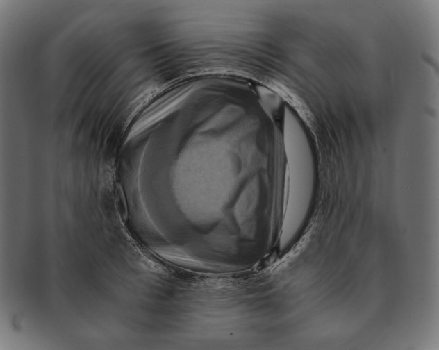 X0000091710993200709210938