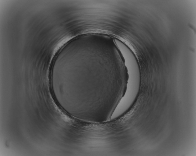 X0000091710995200709210938