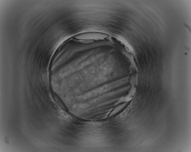 X0000091710996200709210938