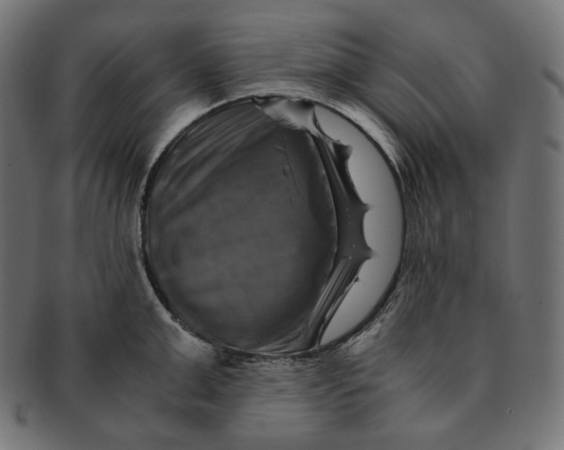 X0000091710999200709210938