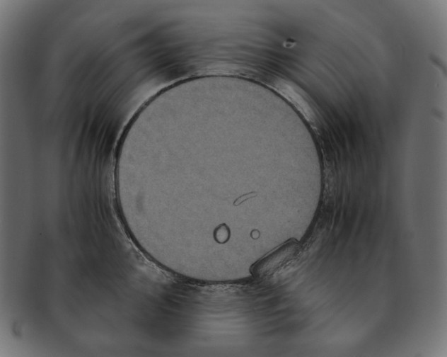 X0000091711000200709210938