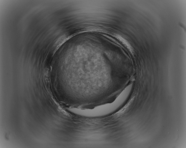 X0000091711001200709210938