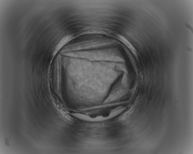 X0000091711002200709210938