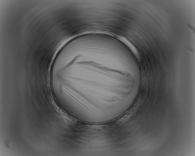 X0000091711004200709210938