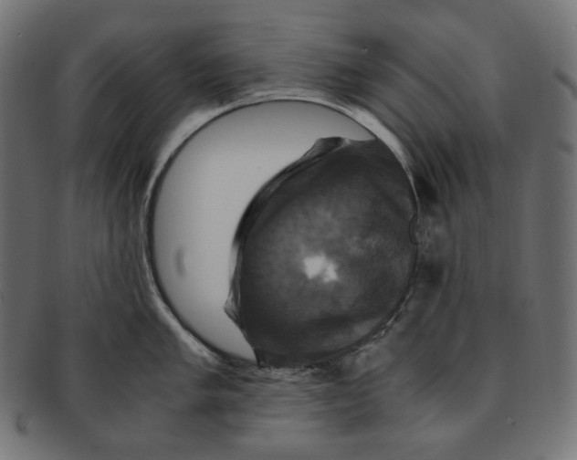 X0000091711005200709210938