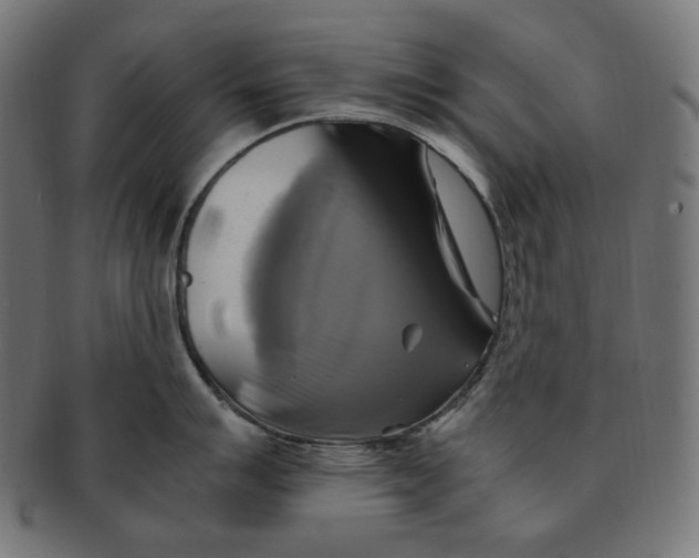 X0000091711007200709210938