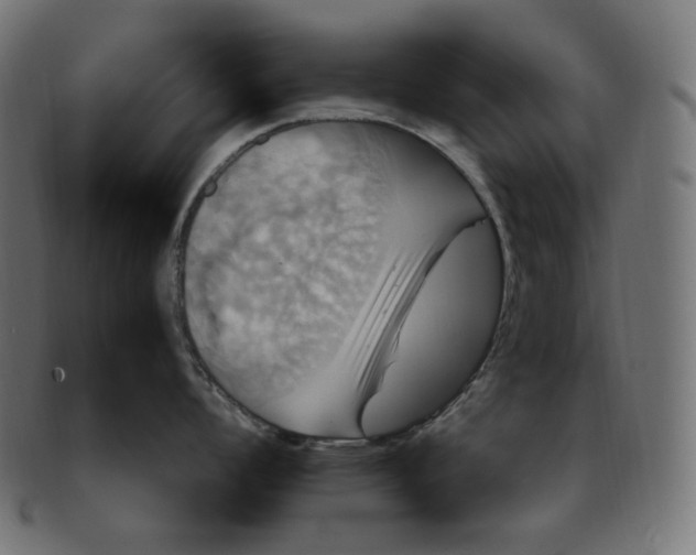 X0000091711008200709210938