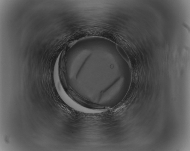 X0000091711010200709210937