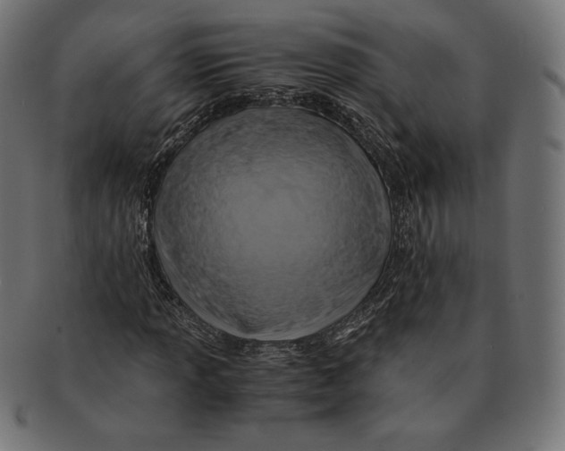 X0000091711013200709210937