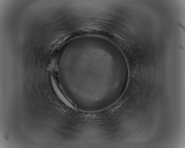 X0000091711014200709210937