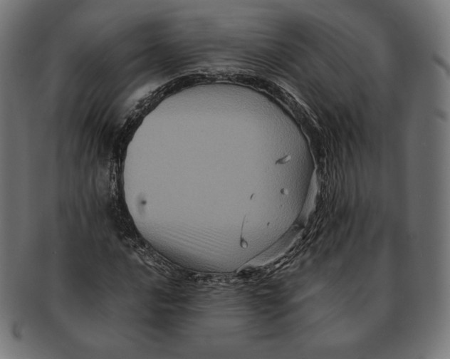 X0000091711016200709210937