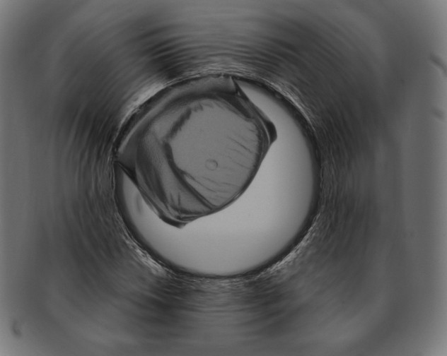 X0000091711018200709210937