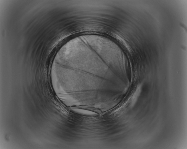 X0000091711019200709210937