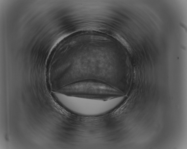 X0000091711020200709210937