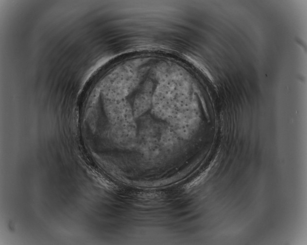 X0000091711021200709210937