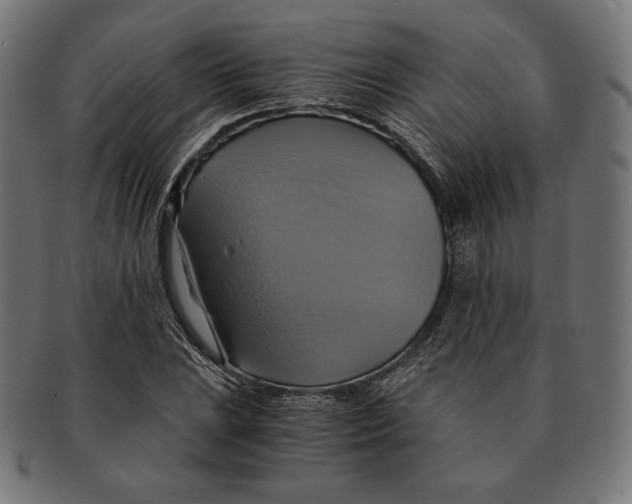 X0000091711023200709210937