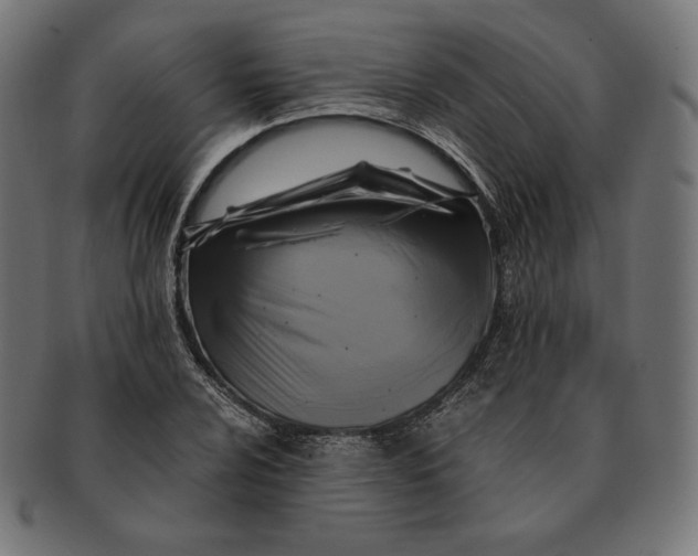 X0000091711024200709210937