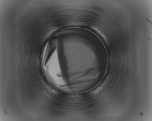 X0000091711025200709210937